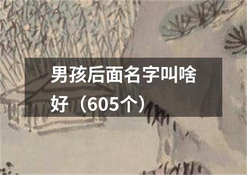 男孩后面名字叫啥好（605个）