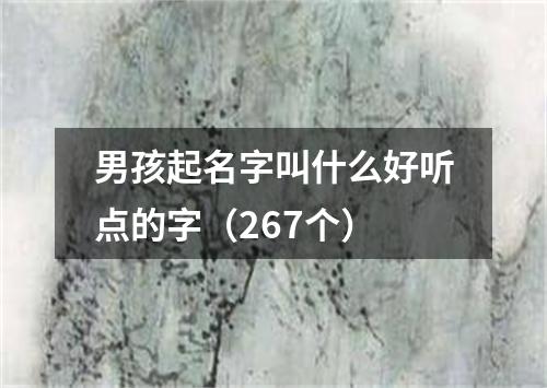 男孩起名字叫什么好听点的字（267个）