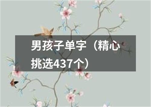 男孩子单字（精心挑选437个）