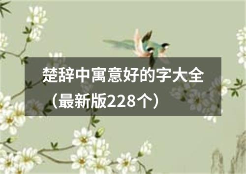 楚辞中寓意好的字大全（最新版228个）