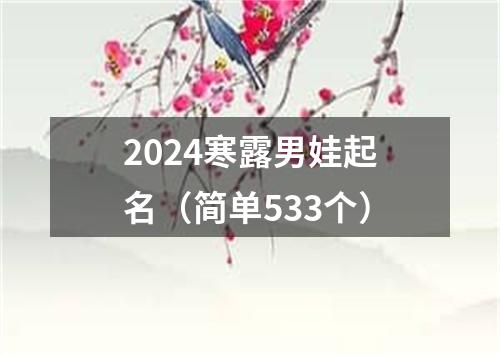 2024寒露男娃起名（简单533个）