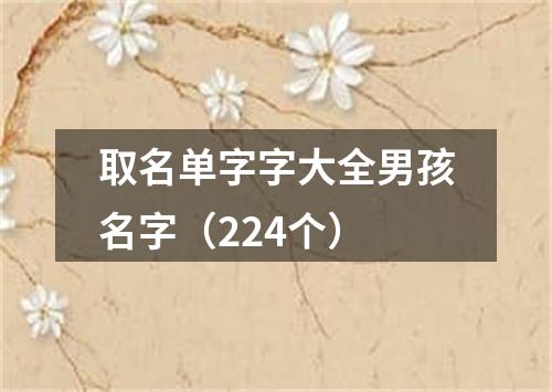 取名单字字大全男孩名字（224个）