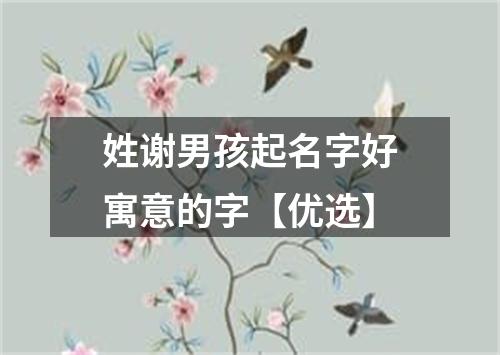 姓谢男孩起名字好寓意的字【优选】