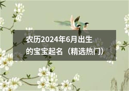 农历2024年6月出生的宝宝起名（精选热门）