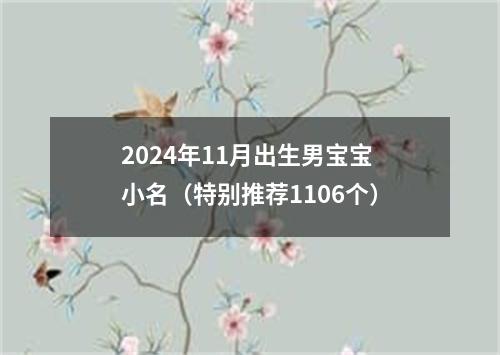 2024年11月出生男宝宝小名（特别推荐1106个）