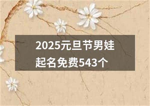 2025元旦节男娃起名免费543个