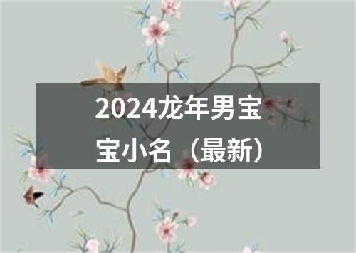 2024龙年男宝宝小名（最新）