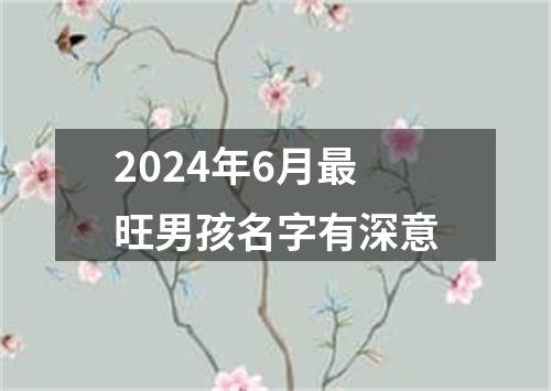 2024年6月最旺男孩名字有深意