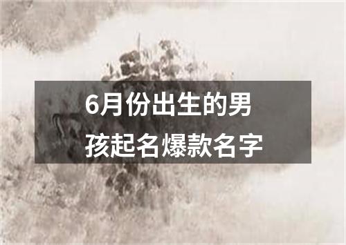 6月份出生的男孩起名爆款名字