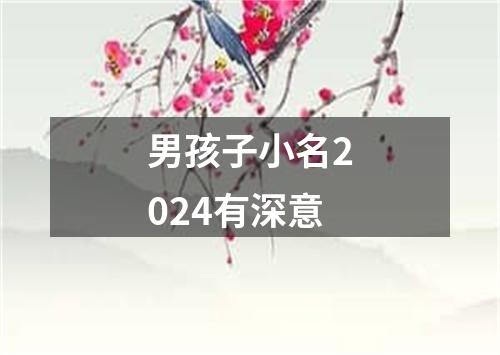 男孩子小名2024有深意