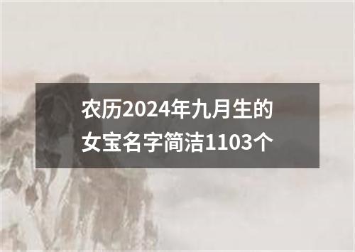 农历2024年九月生的女宝名字简洁1103个