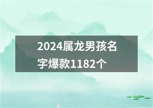 2024属龙男孩名字爆款1182个