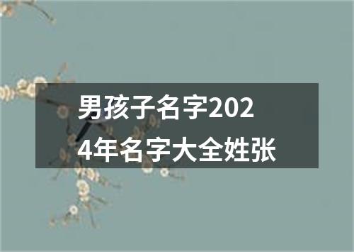 男孩子名字2024年名字大全姓张