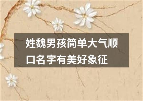 姓魏男孩简单大气顺口名字有美好象征