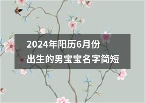 2024年阳历6月份出生的男宝宝名字简短