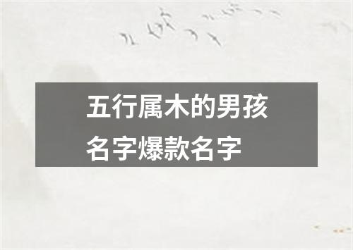 五行属木的男孩名字爆款名字