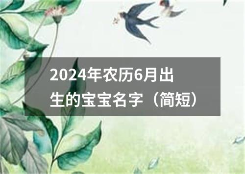 2024年农历6月出生的宝宝名字（简短）