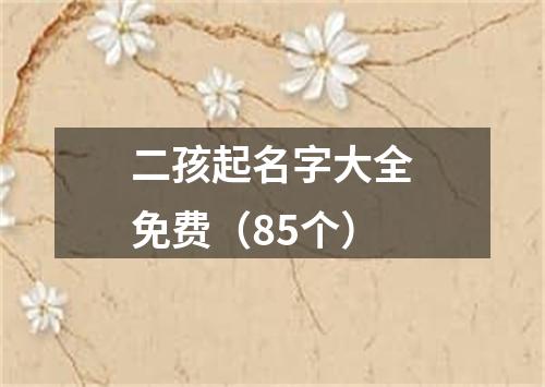 二孩起名字大全免费（85个）