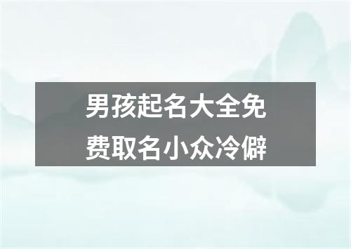 男孩起名大全免费取名小众冷僻