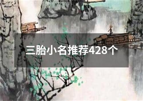 三胎小名推荐428个