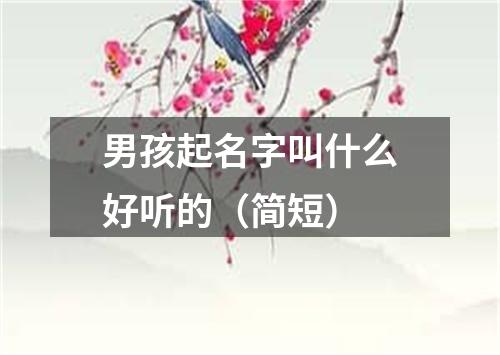 男孩起名字叫什么好听的（简短）