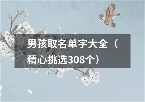 男孩取名单字大全（精心挑选308个）