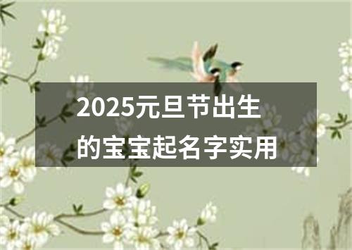 2025元旦节出生的宝宝起名字实用