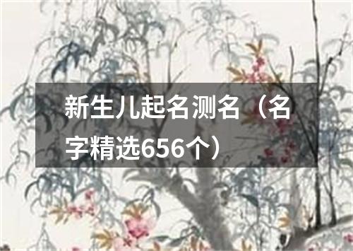 新生儿起名测名（名字精选656个）