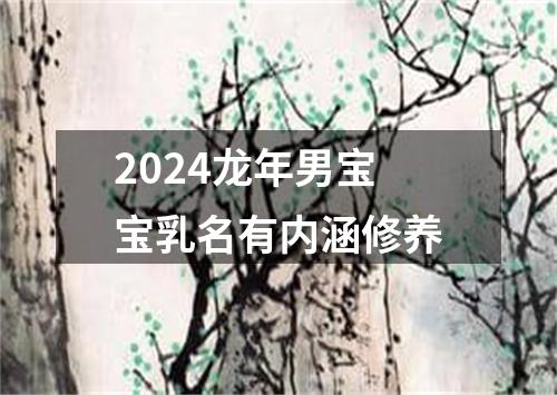 2024龙年男宝宝乳名有内涵修养