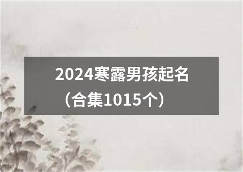 2024寒露男孩起名（合集1015个）