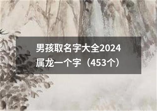 男孩取名字大全2024属龙一个字（453个）