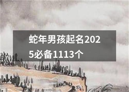 蛇年男孩起名2025必备1113个