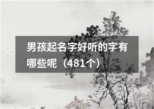 男孩起名字好听的字有哪些呢（481个）