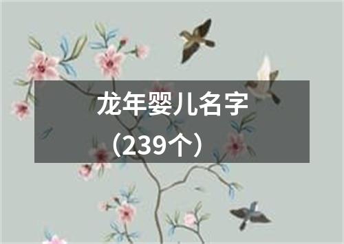 龙年婴儿名字（239个）