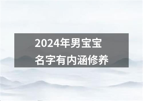 2024年男宝宝名字有内涵修养