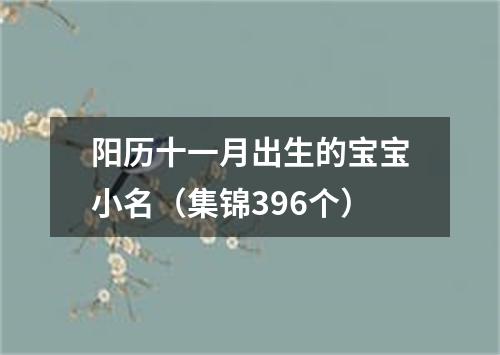 阳历十一月出生的宝宝小名（集锦396个）