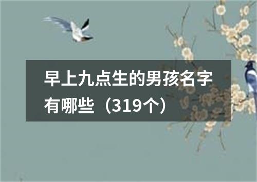 早上九点生的男孩名字有哪些（319个）