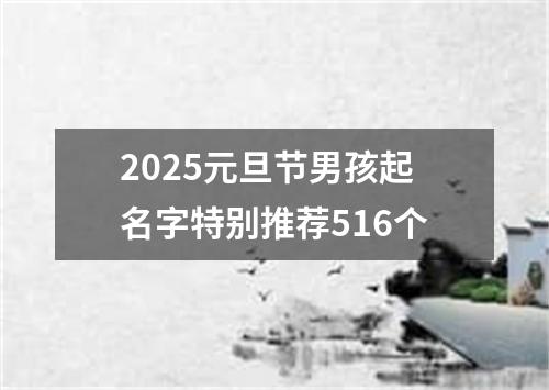 2025元旦节男孩起名字特别推荐516个