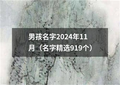 男孩名字2024年11月（名字精选919个）