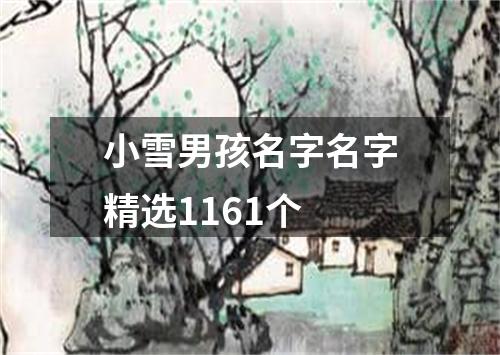 小雪男孩名字名字精选1161个