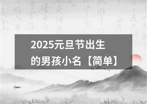 2025元旦节出生的男孩小名【简单】