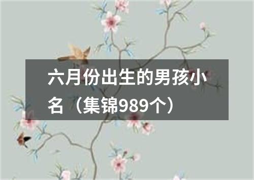 六月份出生的男孩小名（集锦989个）