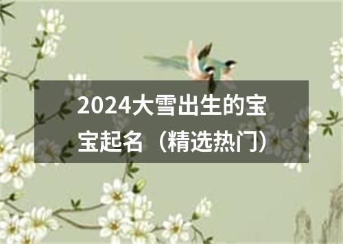 2024大雪出生的宝宝起名（精选热门）