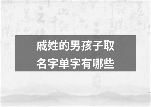 戚姓的男孩子取名字单字有哪些