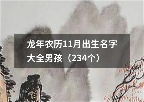 龙年农历11月出生名字大全男孩（234个）