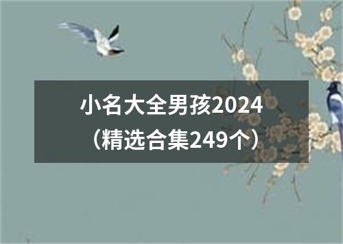 小名大全男孩2024（精选合集249个）