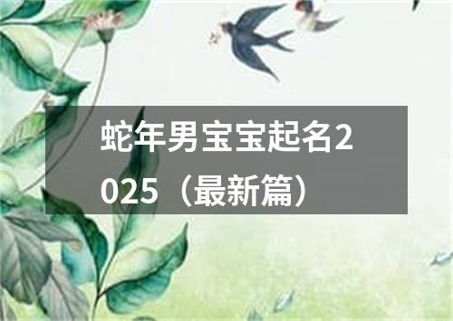 蛇年男宝宝起名2025（最新篇）