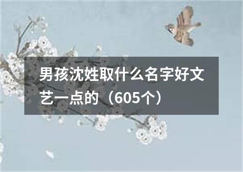 男孩沈姓取什么名字好文艺一点的（605个）