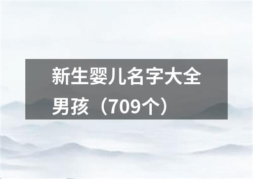 新生婴儿名字大全男孩（709个）