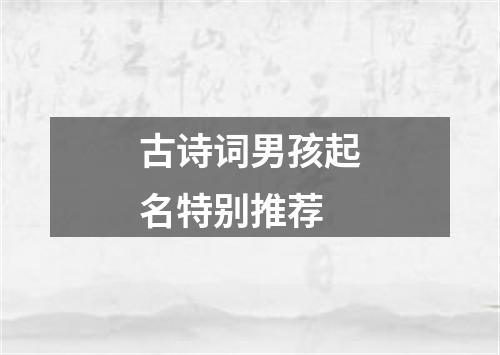 古诗词男孩起名特别推荐